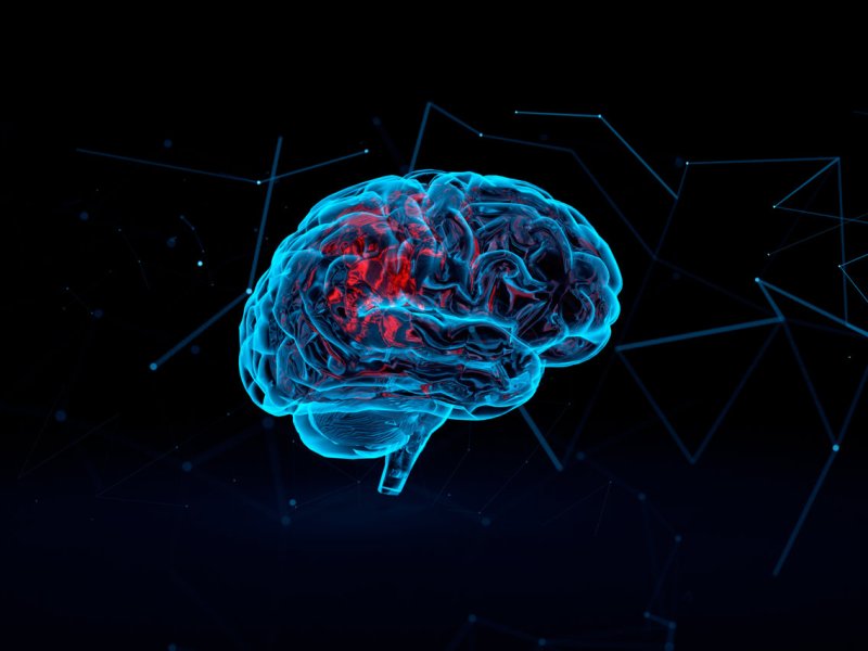 Tu intelectualidad no sirve de nada ante la Consciencia&nbsp;Divina